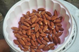 after all the hard work! pili nuts minus the shell. 